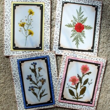 Dried Flower Cards