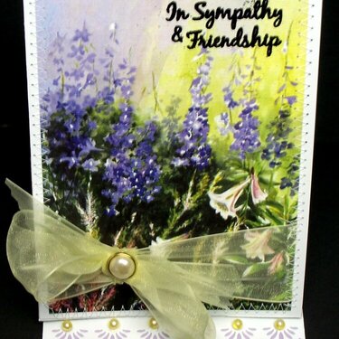 In Sympathy and Friendship Card