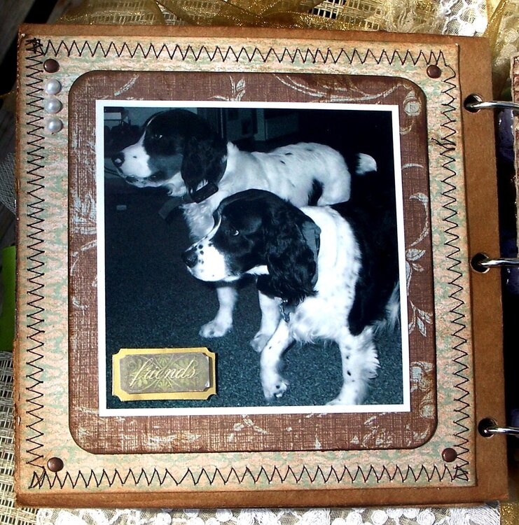 Vintage Dog Paper bag Album