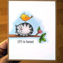 life is tweet