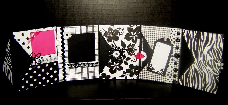 Black and White envelope album