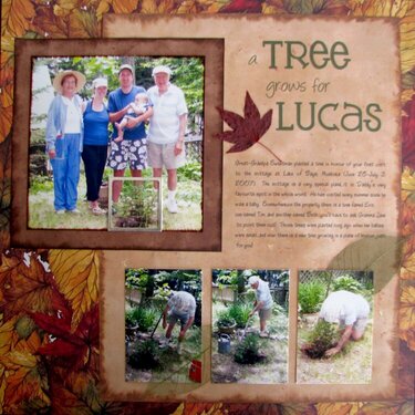 A Tree Grows for Lucas