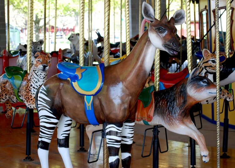 Okapi carousel animal