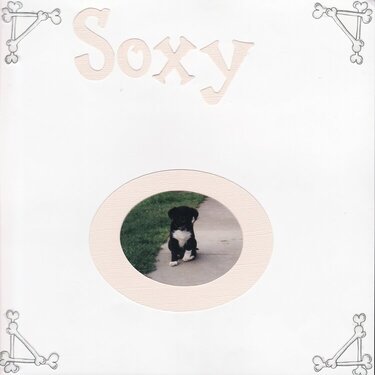 Soxy The Dog - Cover Page