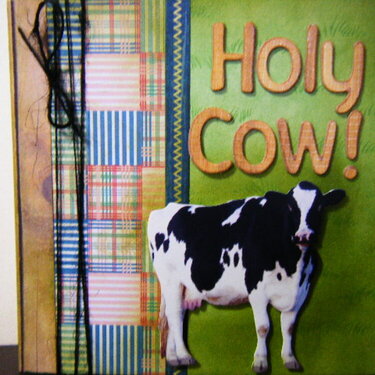 Holy Cow!