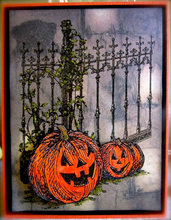 Pumpkins by Iron Gate