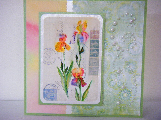 Iris Watercolor
