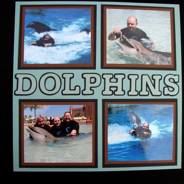 SWIM WITH THE DOLPHINS 2 - Right