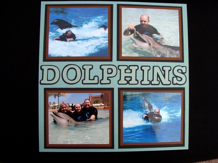 SWIM WITH THE DOLPHINS 2 - Right