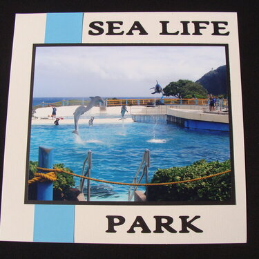 Hawaii - Sea Life Park - Title