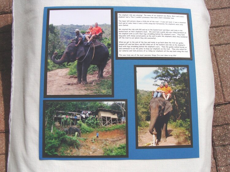 Phuket, Thailand - Elephants 3