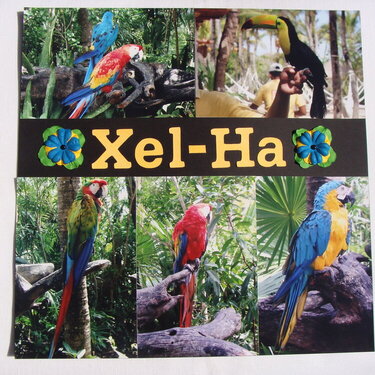 Cancun - Xel-Ha