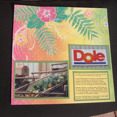 Hawaii - Dole Pineapple Plant