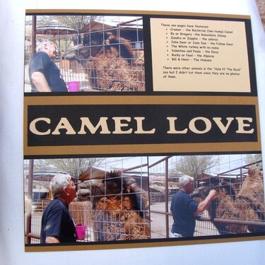 Hole &#039;N The Rock Zoo - Camel Love