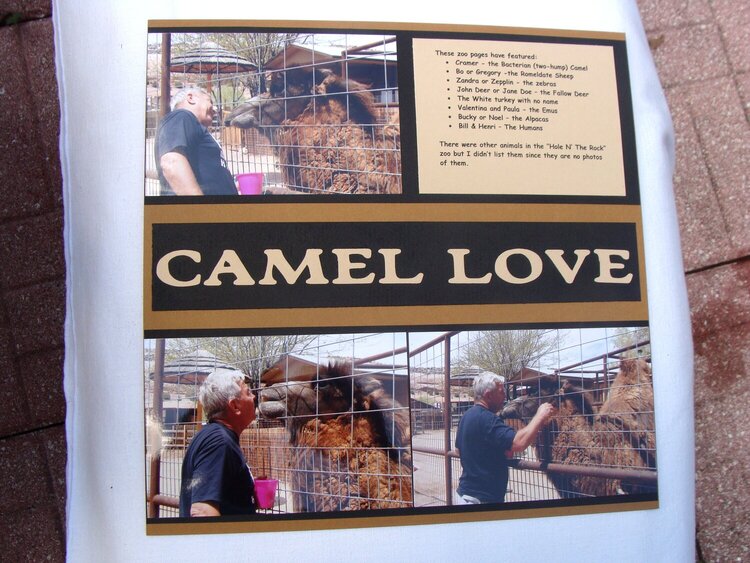 Hole &#039;N The Rock Zoo - Camel Love