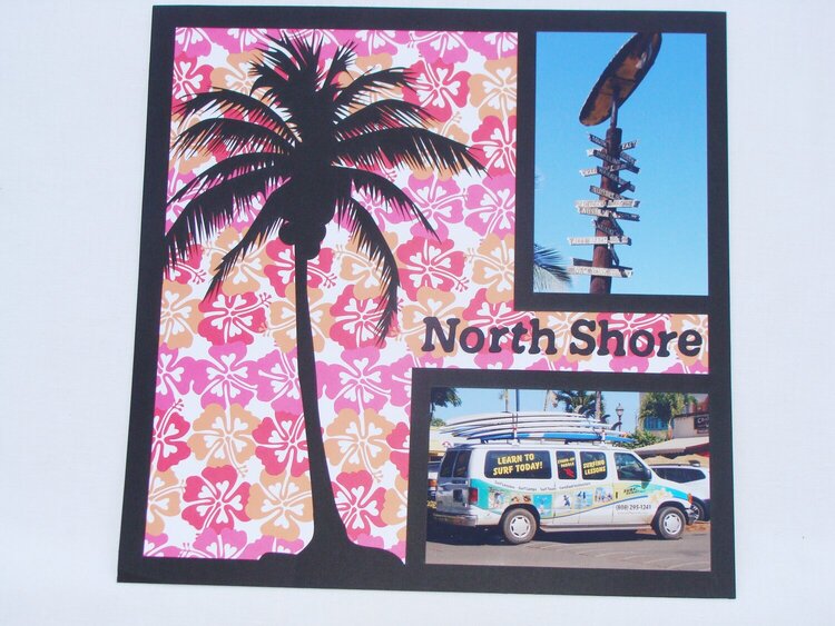 Hawaii, Dec, 2009 - North Shore