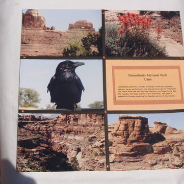 Needles Area of Canyonlands National Park (Utah)