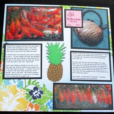Hawaii - Dole Pineapple Plantation 3
