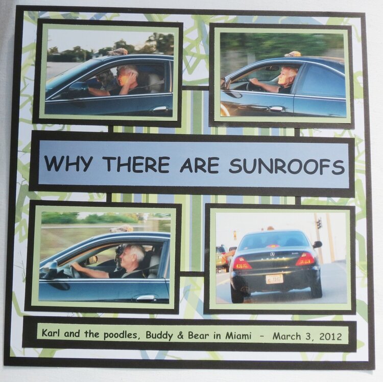 Why There are Sunroofs