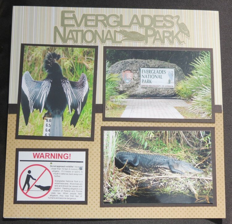 Florida Everglades - Title Page