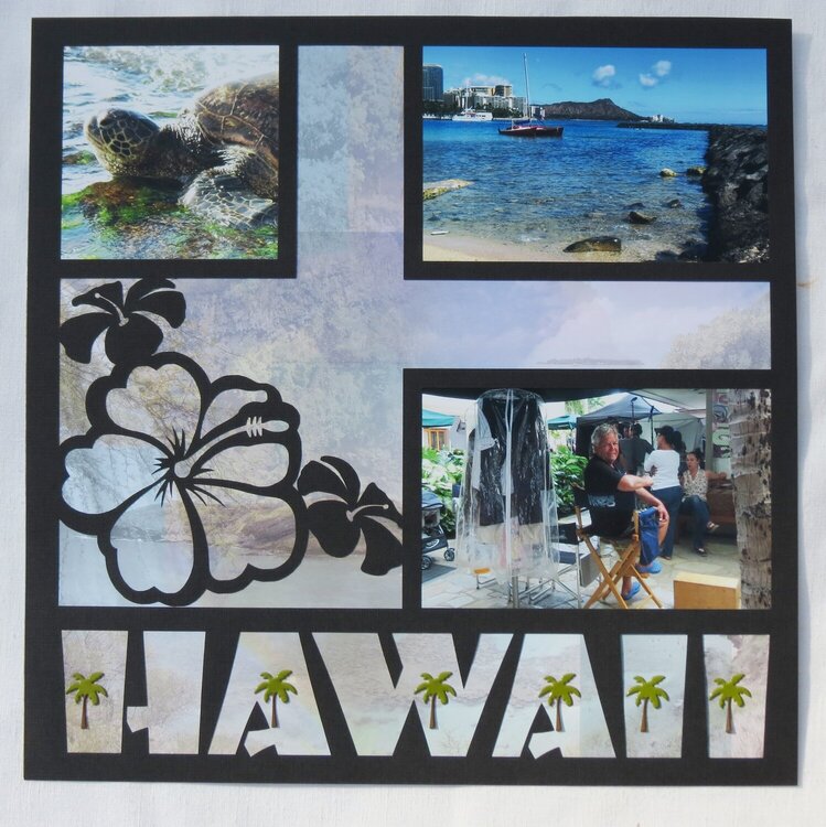 Hawaii Title Page