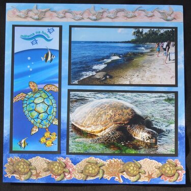 Hawaii - Turtle Beach Left