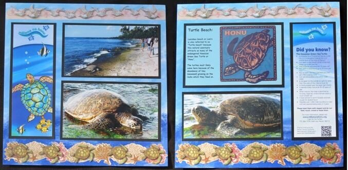 Hawaii - Turtles - Both sides