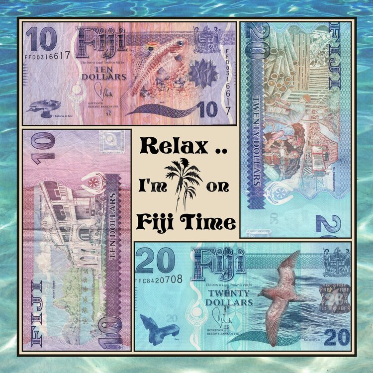 339 Fiji Money