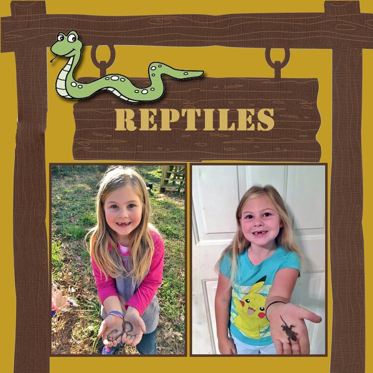 426 - Reptiles