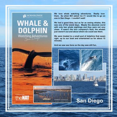 41 San Diego - Whale &amp; Dolphin Trip