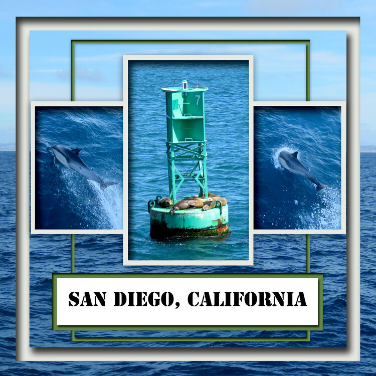 42 San Diego - Whale &amp; Dolphin Trip