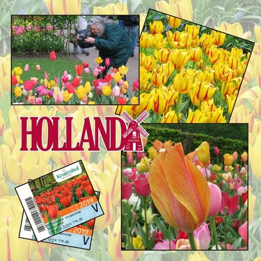 137 Holland - Kuekenhof Gardens
