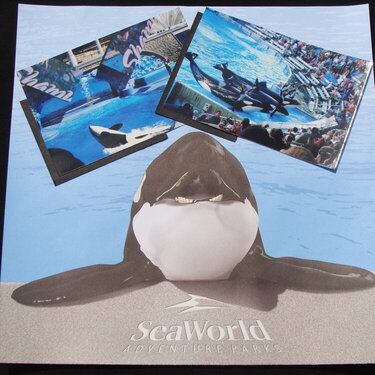 SeaWorld 1