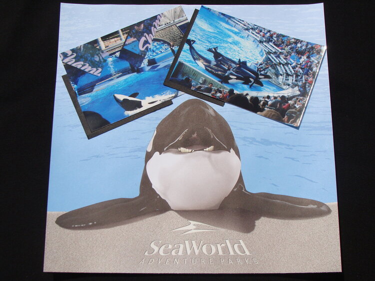 SeaWorld 1