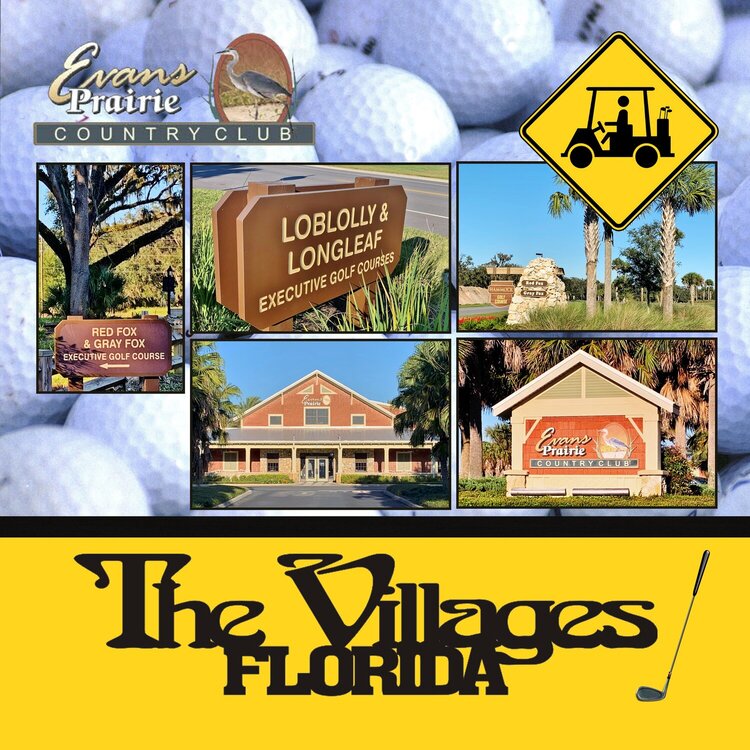 494 The Villages, Florida