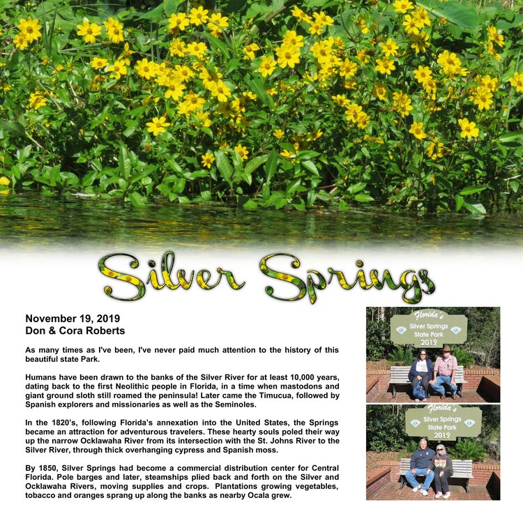 541 Silver Springs, Florida