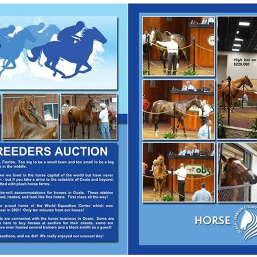 83-84 Horse Auction