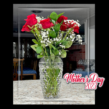 153/275 Mother&#039;s Day Roses