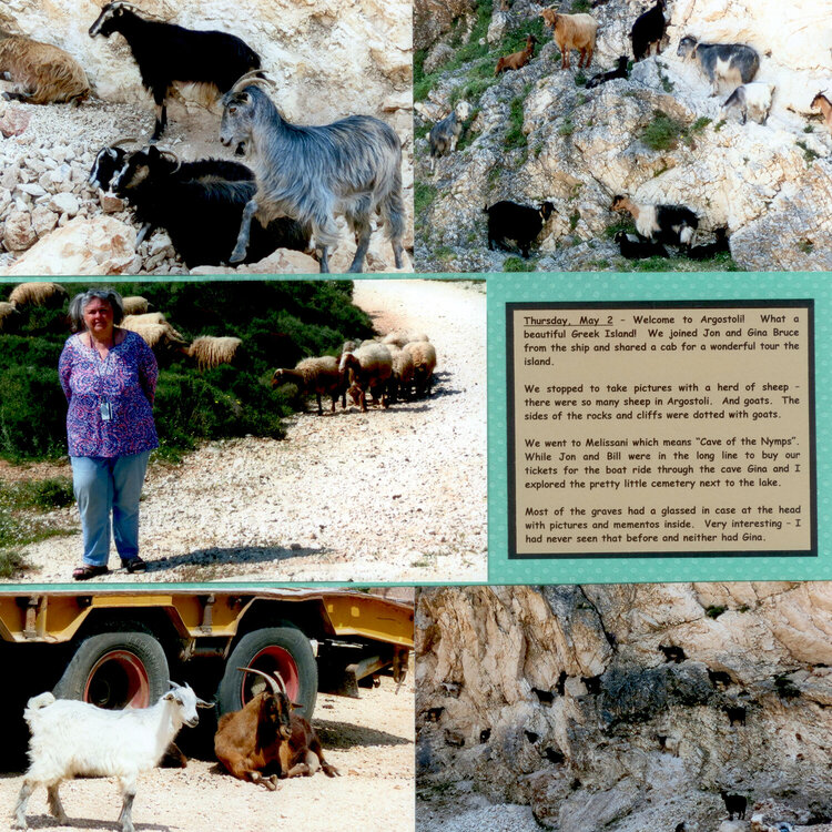 Argostoli, Greece, Page 3 - Sheep &amp; Goats everywhere!