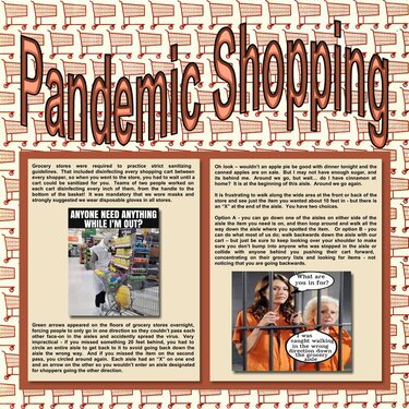 24 Pandemic Shopping