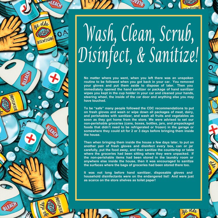 28 Wash, Clean, Scrub, Disinfect Sanitize