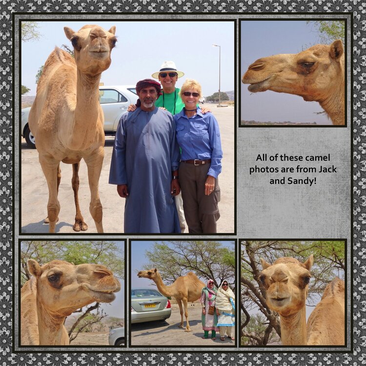 World Cruise Page 236 - Salalah, Oman