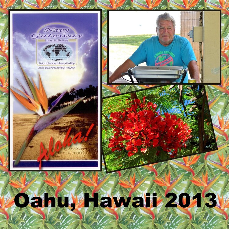 Hawaii -  Page 93 Volume Challenge