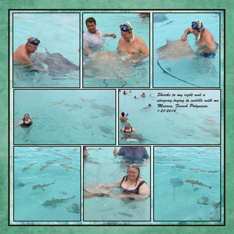 Page 200 Volume Challenge - 2014 World Cruise - Moorea, French Polynesia