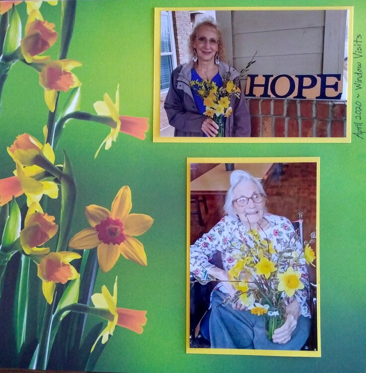 Daffodils Hope