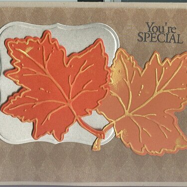 You&#039;re special leaves