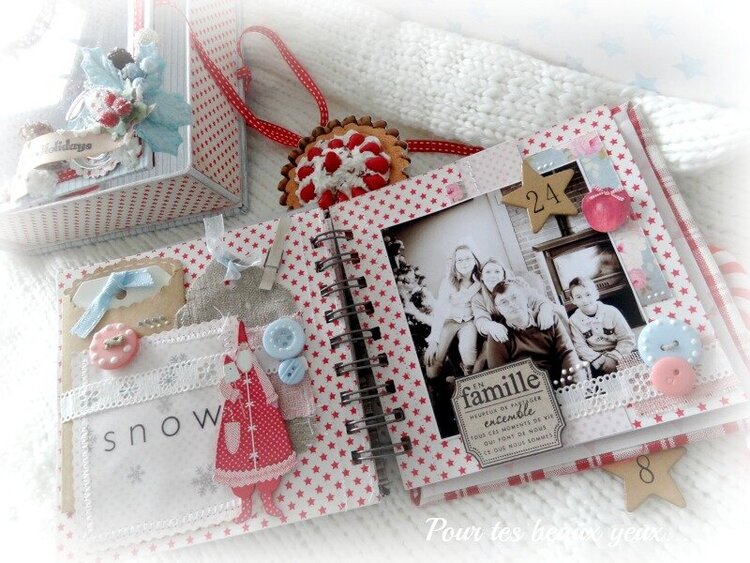 Box and christmas album (pages)