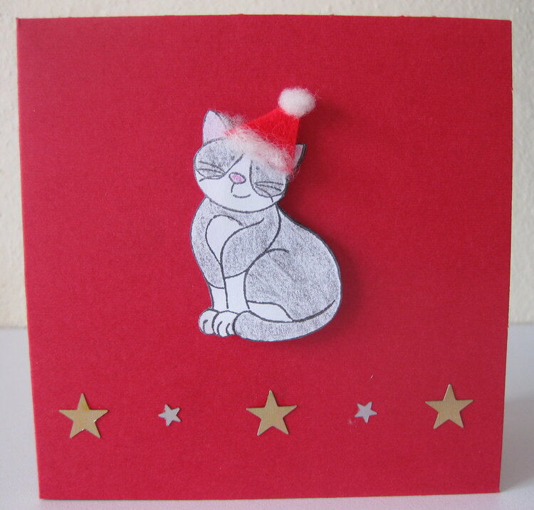 Christmas Card cat