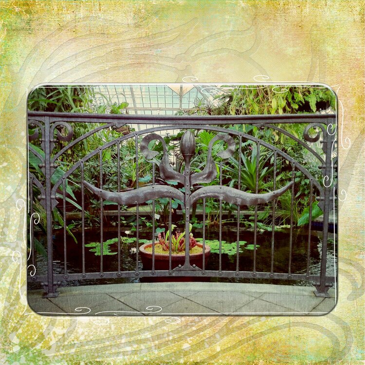 Conservatory of Flowers, page 1: Fence
