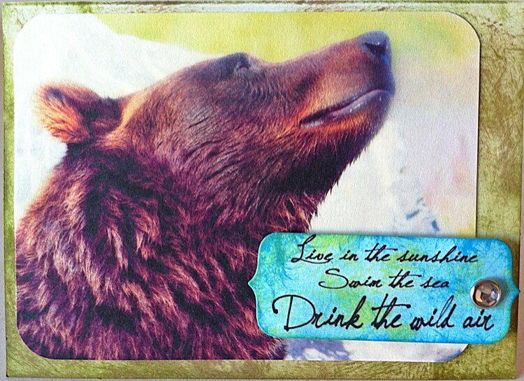 bear birthday card